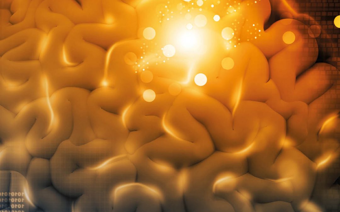 Scientia Issue #137 | Charting New Frontiers in Psychological and Brain Sciences