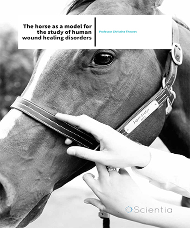 Professor Christine Theoret – The Horse As A Model For The Study Of Human Wound Healing Disorders