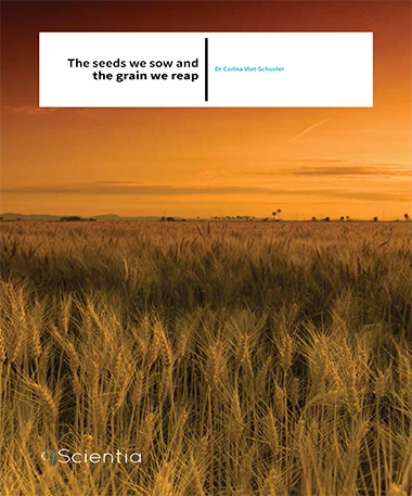 Dr Corina Vlot-Schuster – The Seeds We Sow And The Grain We Reap