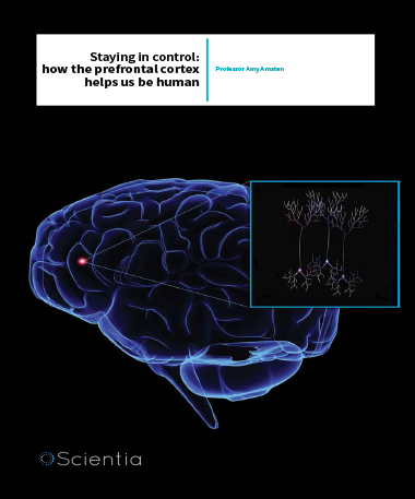 Professor Amy Arnsten – Staying In Control: How The Prefrontal Cortex Helps Us Be Human