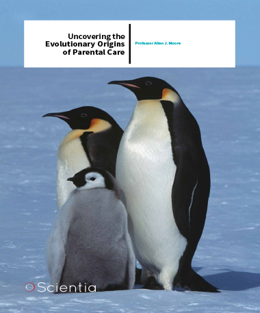 Professor Allen J. Moore – Uncovering The Evolutionary Origins Of Parental Care