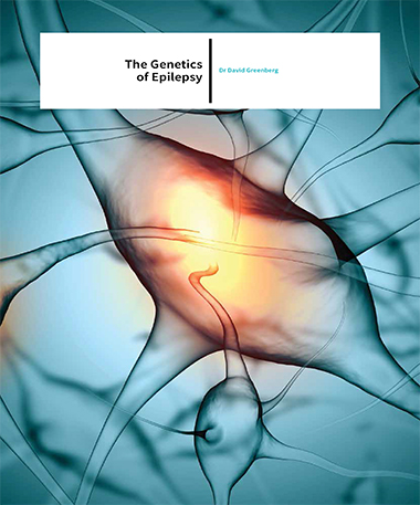 Dr David Greenberg – The Genetics Of Epilepsy