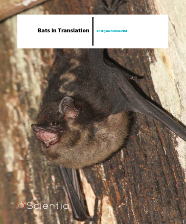 Dr Mirjam Knörnschild – Bats In Translation