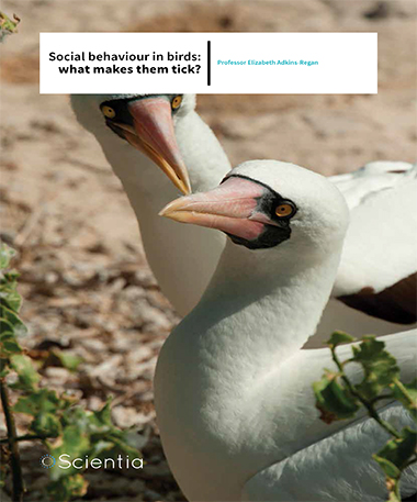 Professor Elizabeth Adkins-Regan – Social Behaviour In Birds: What Makes Them Tick?