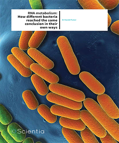 Dr Harald Putzer – Rna Metabolism: How Different Bacteria Reached The Same Conclusion In Their Own Ways