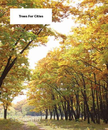 Trees For Cities