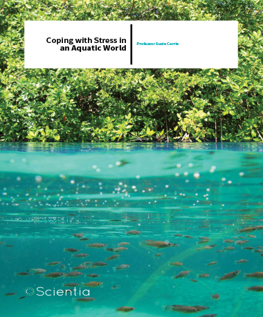 Professor Suzie Currie – Coping With Stress In An Aquatic World