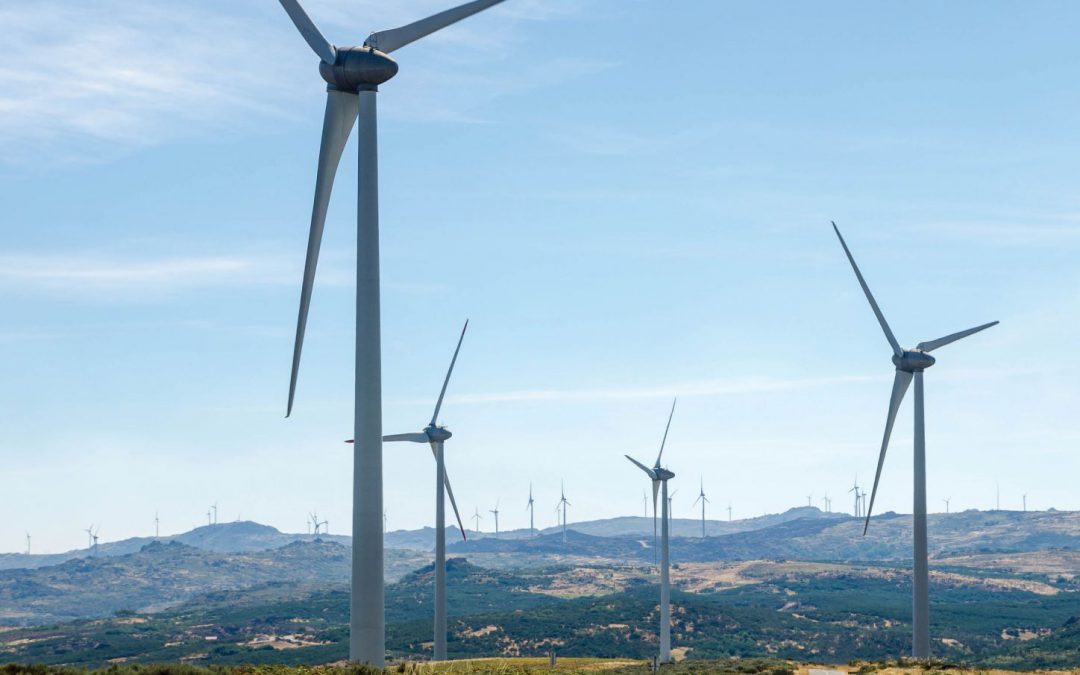 Professor Maria Forsyth & Dr Patrick Howlett – Renewable energy gets a boost from sodium battery technology