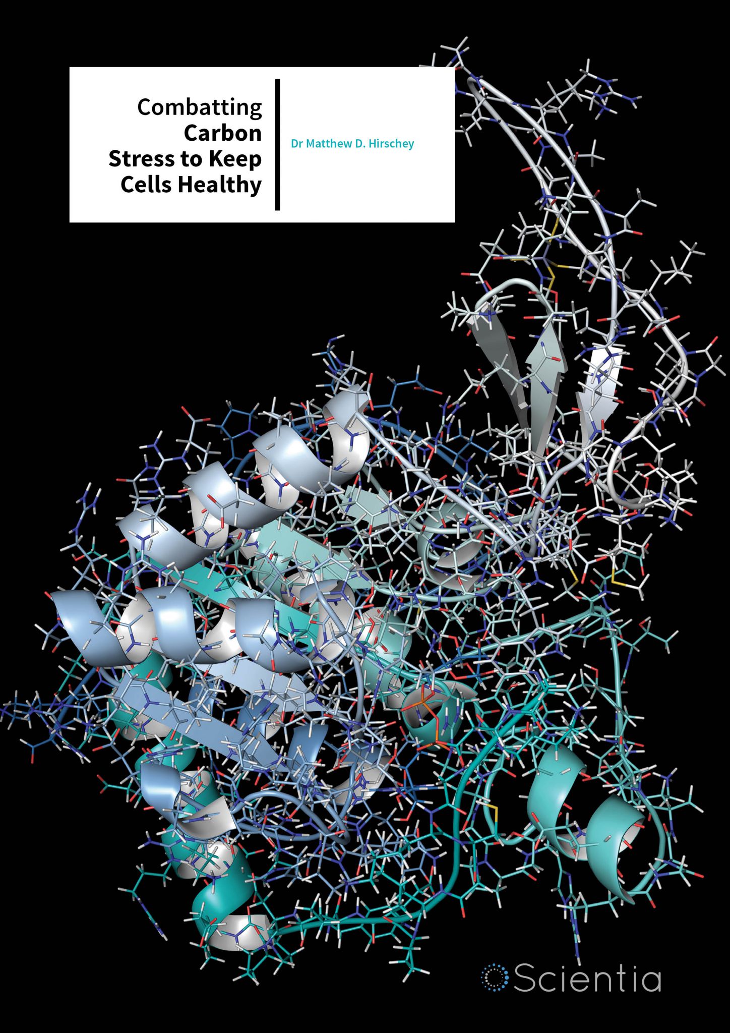 Dr Matthew D. Hirschey – Combatting Carbon Stress To Keep Cells Healthy