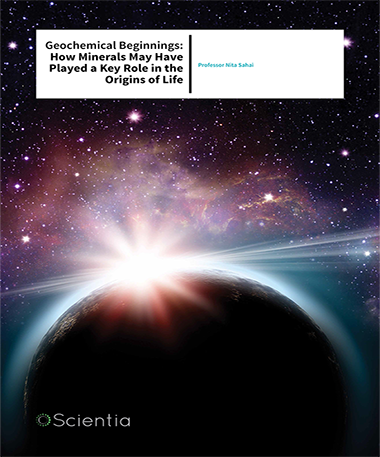 Professor Nita Sahai – Geochemical Beginnings: How Minerals May Have Played A Key Role In The Origins Of Life