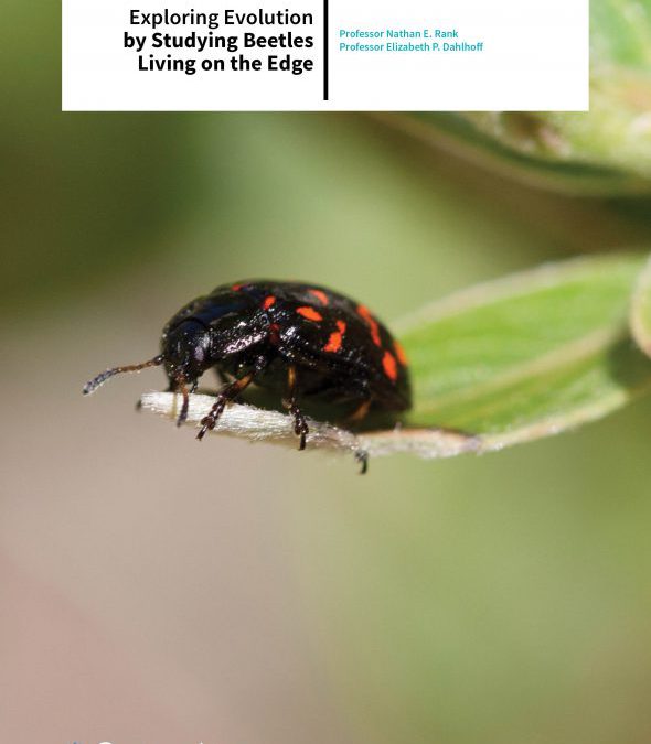 Professor Nathan E. Rank | Professor Elizabeth P. Dahlhoff – Exploring Evolution By Studying Beetles Living On The Edge