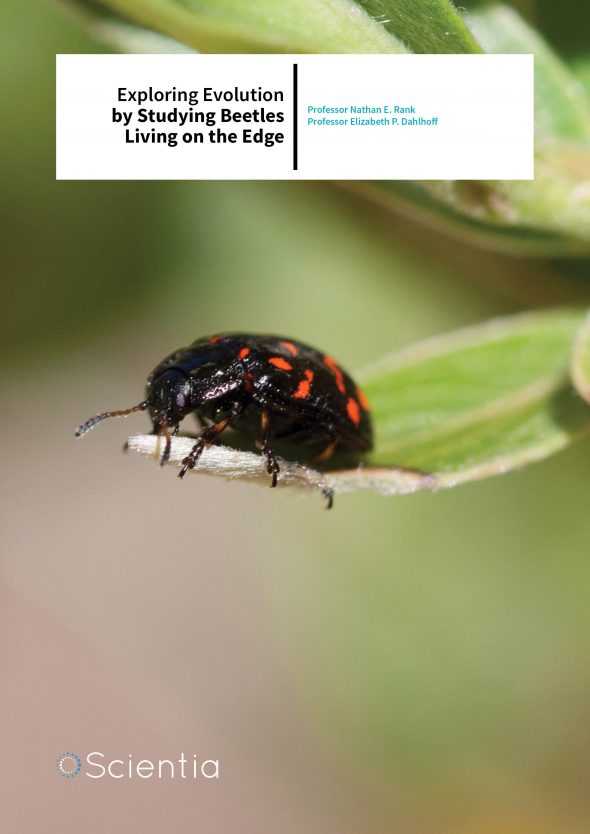 Professor Nathan E. Rank | Professor Elizabeth P. Dahlhoff – Exploring Evolution By Studying Beetles Living On The Edge