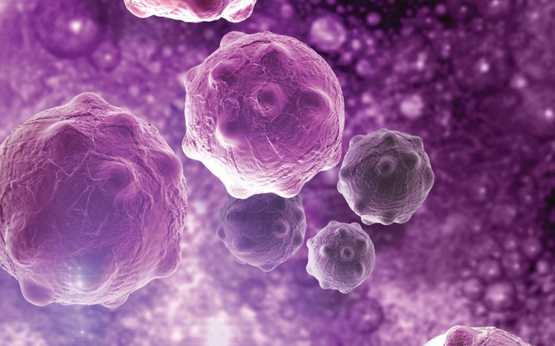Tan A. Ince, MD, PhD – Fighting Cancer by Keeping Cancer Cells Alive