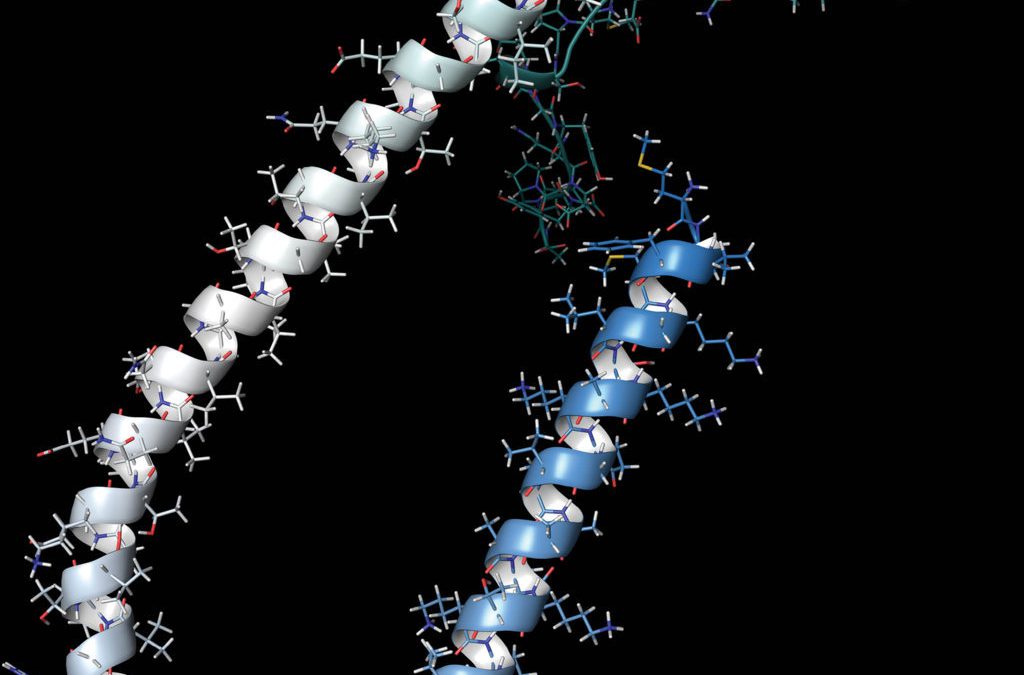 Professor Robert Fairman – Twists and Turns in Protein Assembly