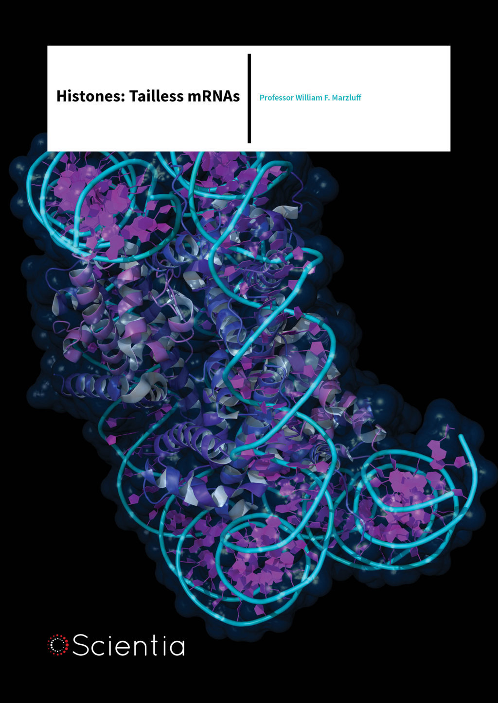 Professor William F. Marzluff – Histones: Tailless mRNAs