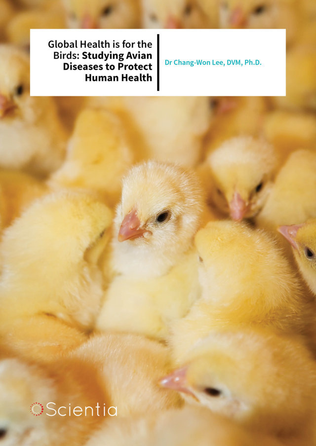 Dr Chang-Won Lee – Global Health is for the Birds: Studying Avian Diseases to Protect Human Health