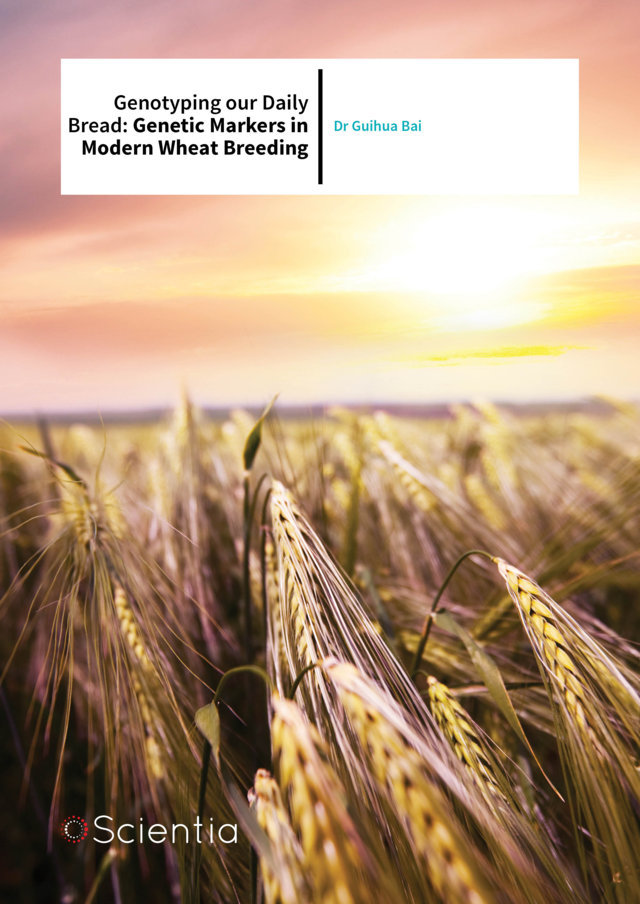 Dr Guihua Bai – Genotyping our Daily Bread: Genetic Markers in Modern Wheat Breeding