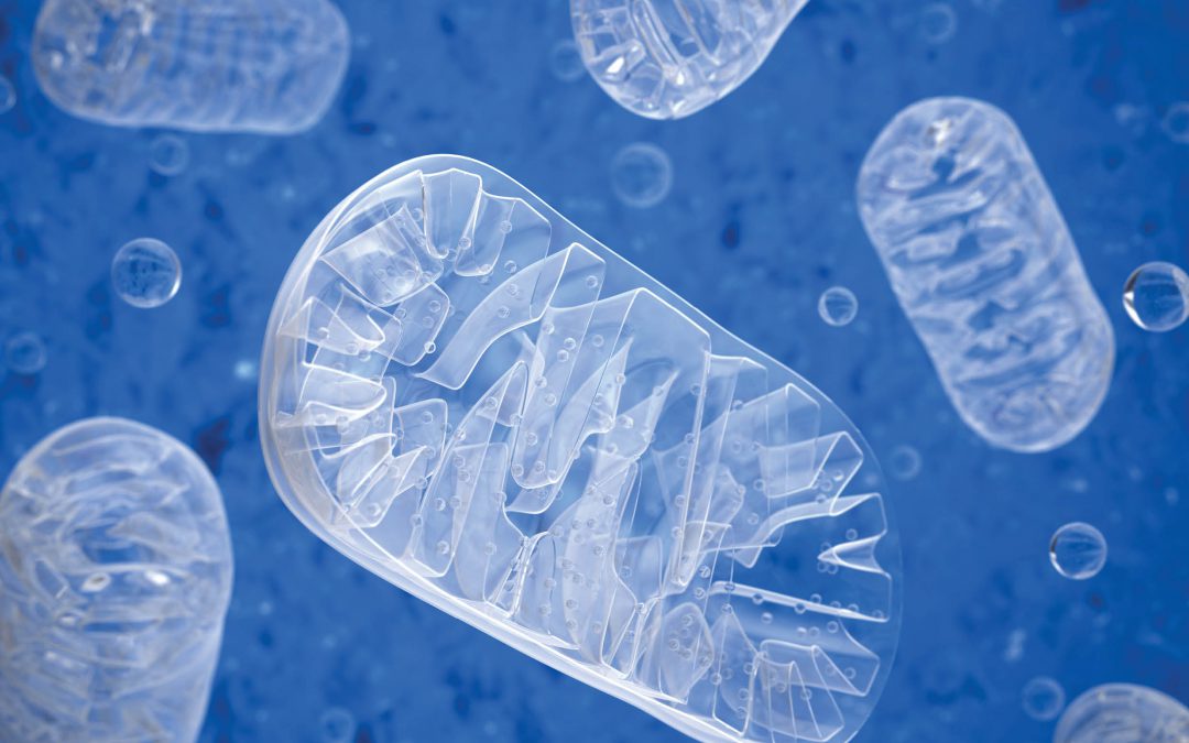 Professor Ian A. Blair – Of Metabolites and Men: Applications of Metabolomics to Medicine