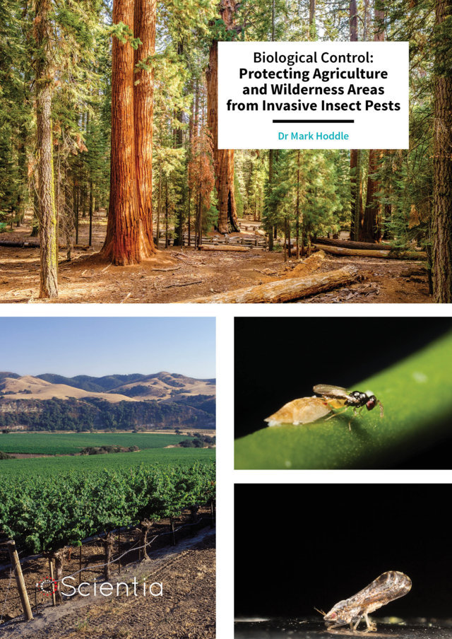 Mark Hoddle – Biological Control: Protecting Agriculture and Wilderness Areas from Invasive Insect Pests