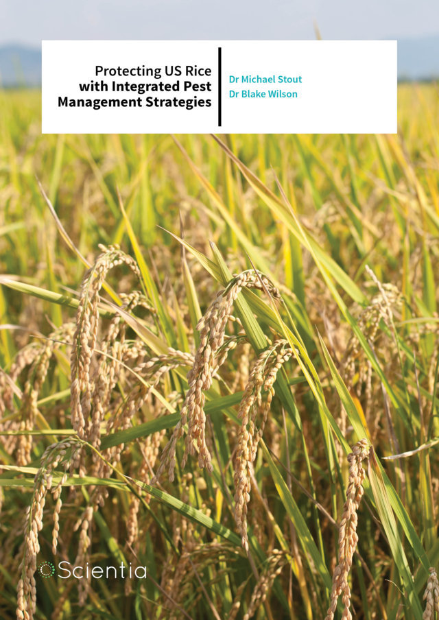 Dr Michael Stout | Dr Blake Wilson – Protecting United States Rice with Integrated Pest Management Strategies