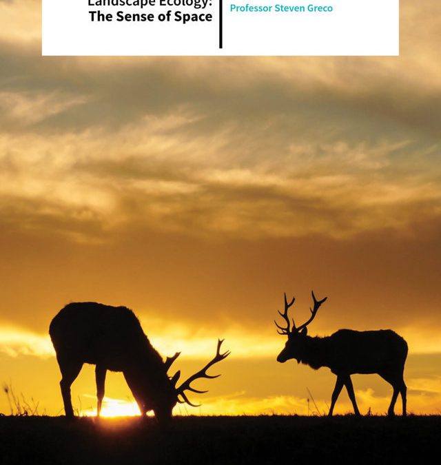 Professor Steven Greco  – Landscape Ecology: The Sense of Space