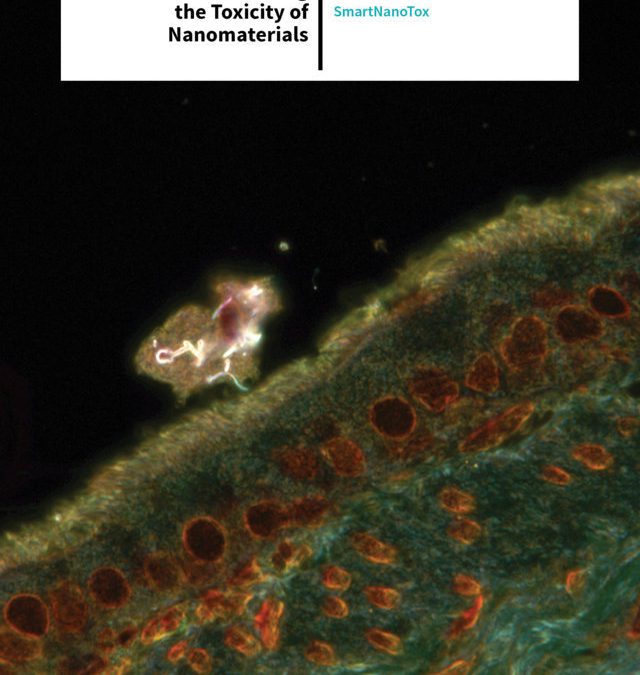 Smartnanotox