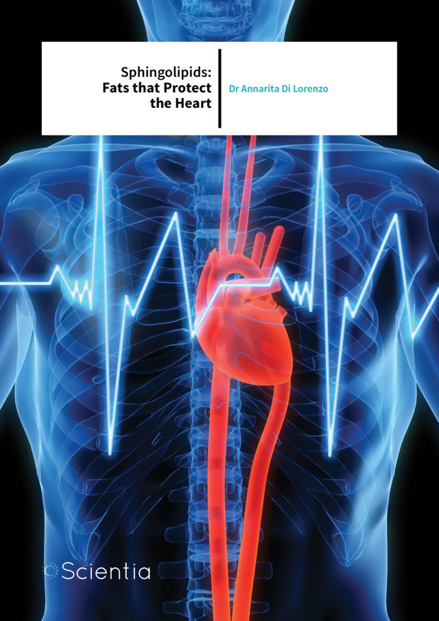 Dr Annarita Di Lorenzo – Sphingolipids: Fats that Protect the Heart