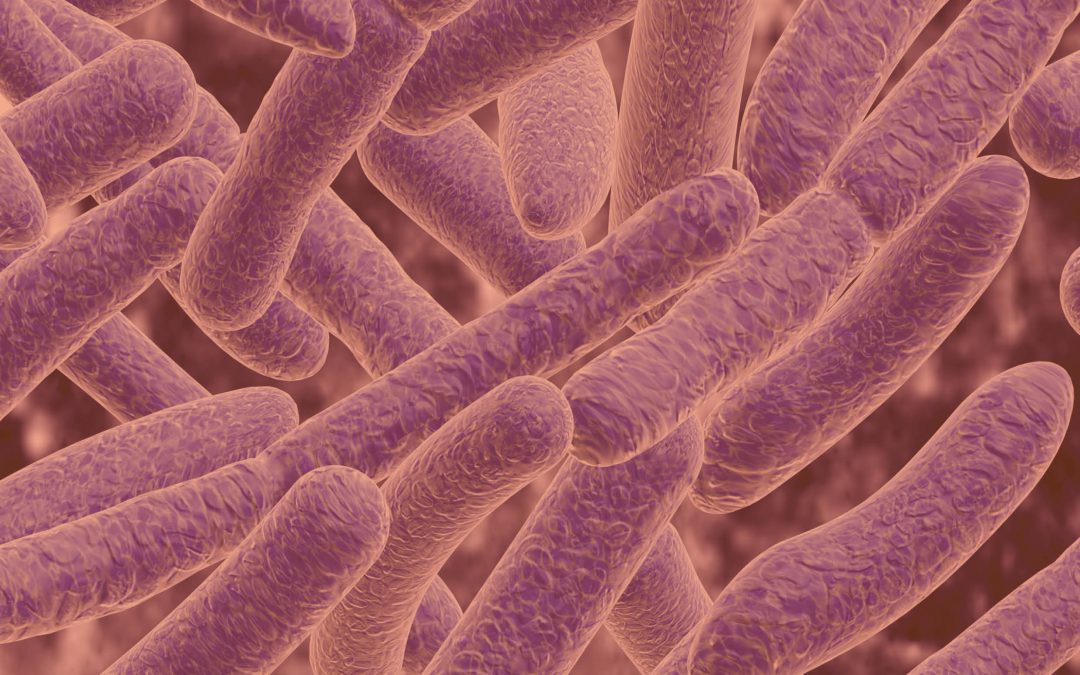 Professor Hannah M. Wexler – Good Bacteria Gone Bad