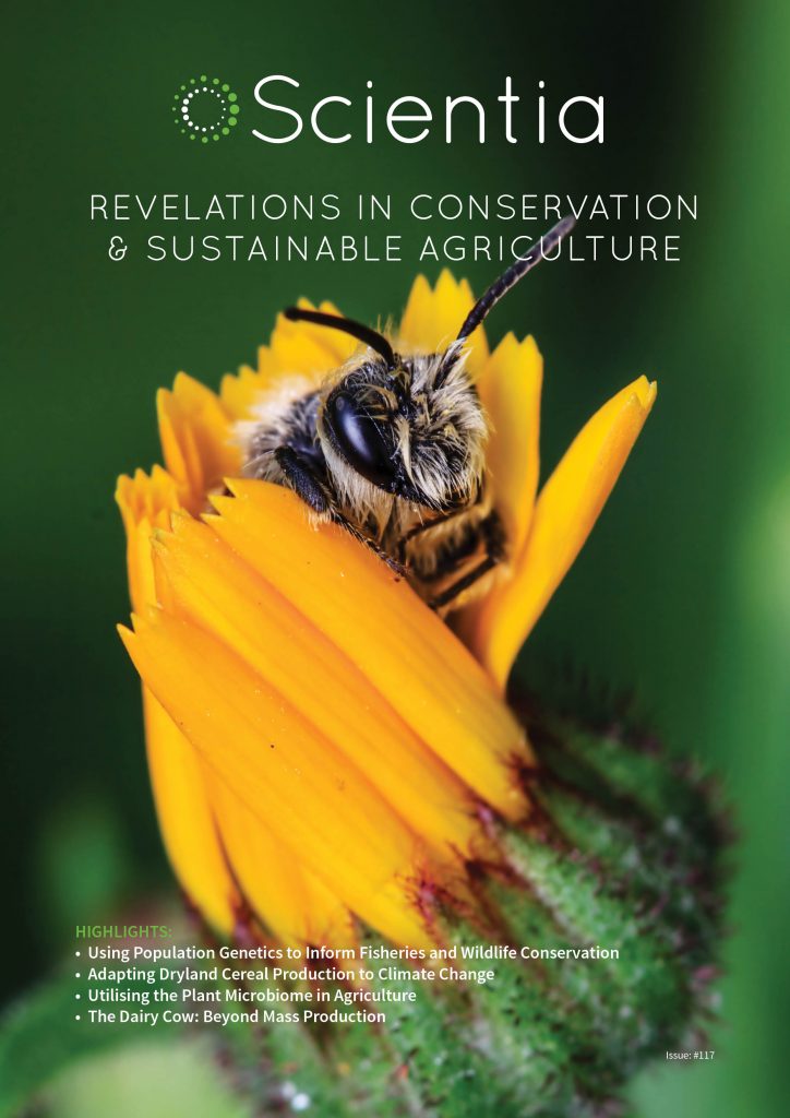 Scientia Issue #117 • scientia.global