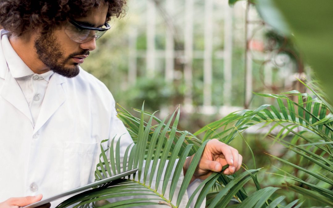 The American Society for Horticultural Science