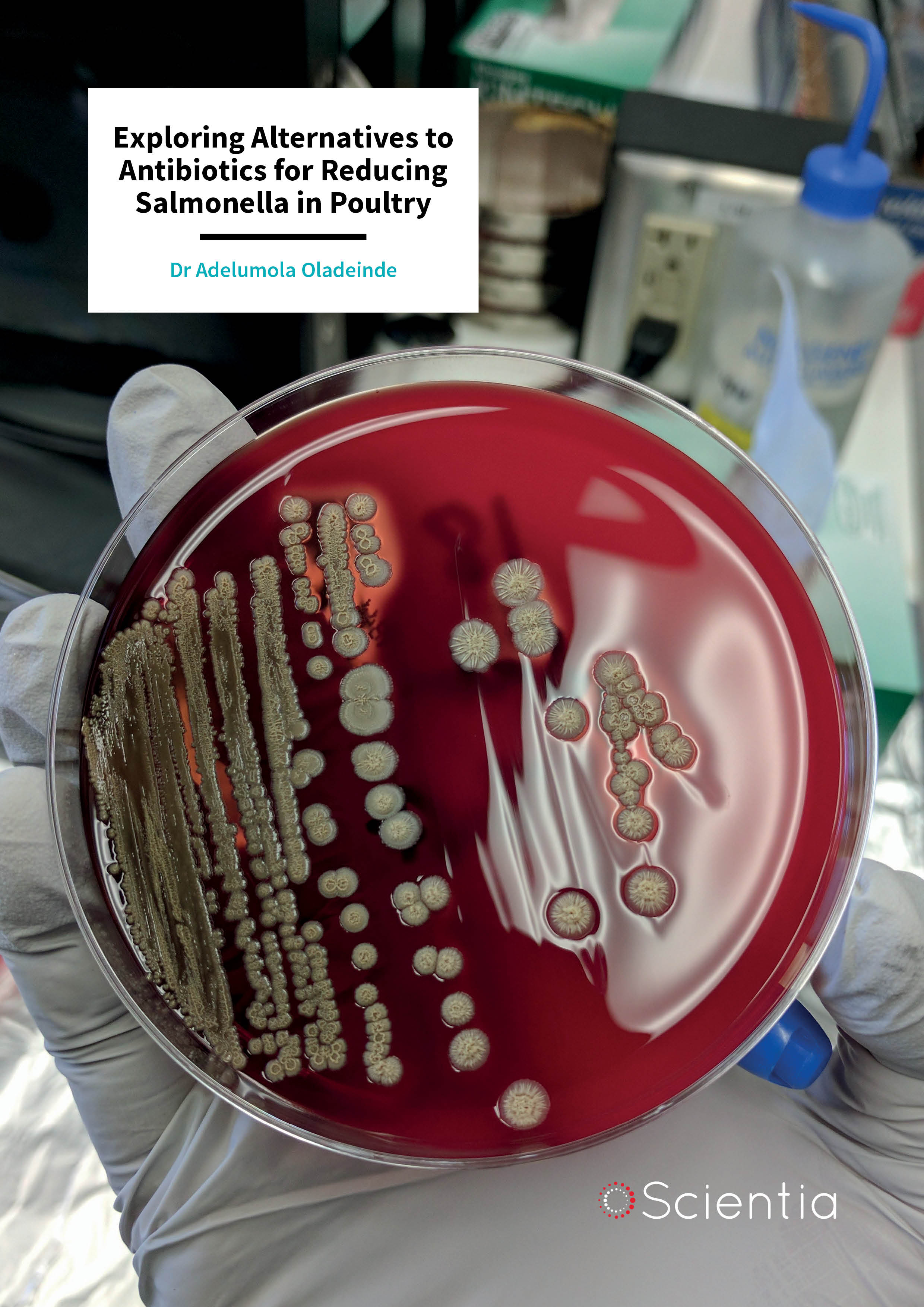 Dr Adelumola Oladeinde – Exploring Alternatives to Antibiotics for Reducing Salmonella in Poultry
