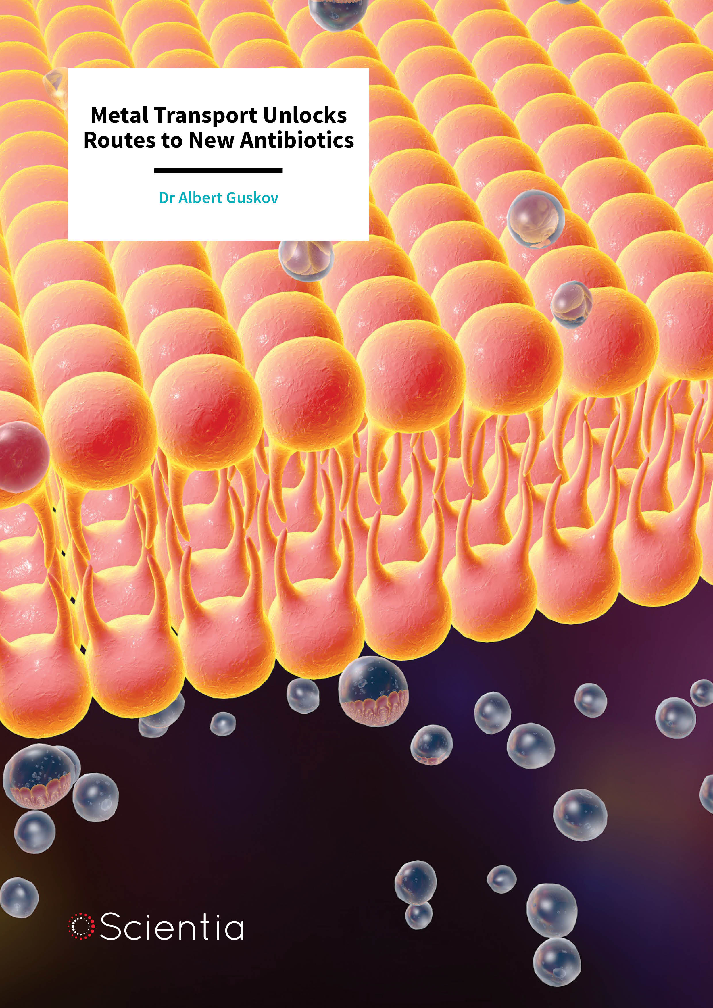 Dr Albert Guskov – Metal Transport Unlocks Routes to New Antibiotics