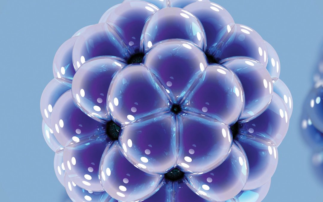 Dr Alfred Msezane – Negative Ion Formation in Complex Heavy Systems