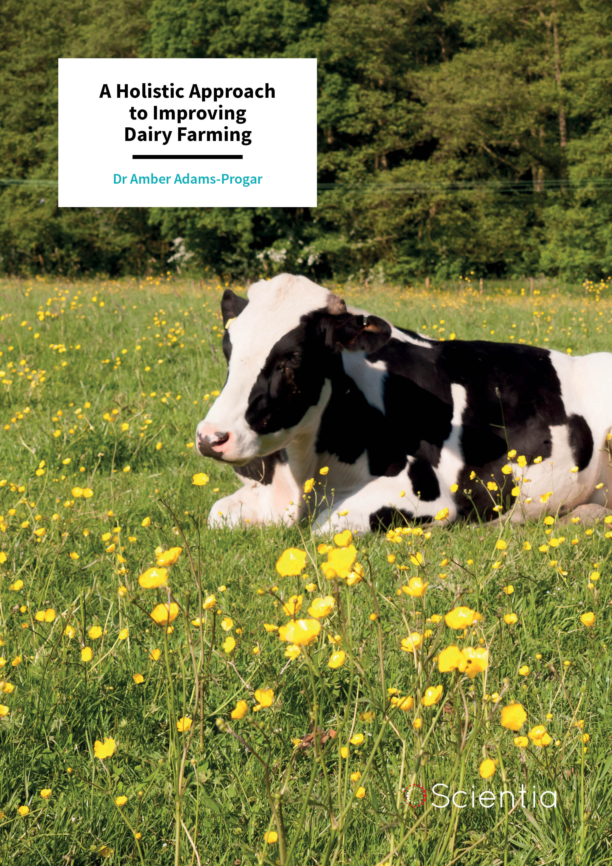 Dr Amber Adams-Progar – A Holistic Approach to Improving Dairy Farming