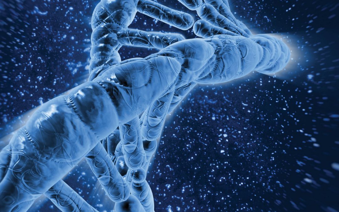 Professor Andrea Duina – The Many Complexities of DNA Packing and Gene Expression