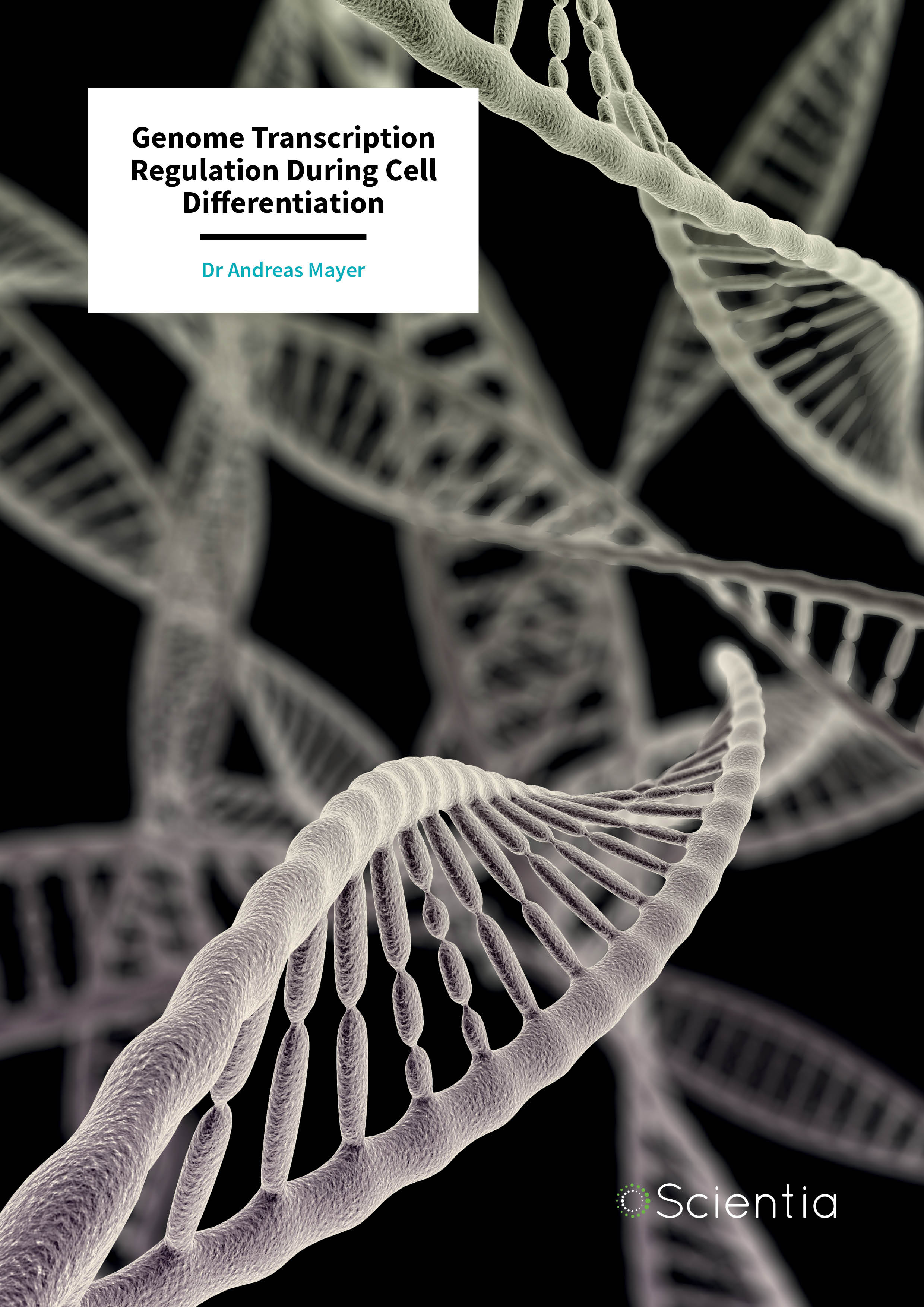 Dr Andreas Mayer – Genome Transcription Regulation During Cell Differentiation