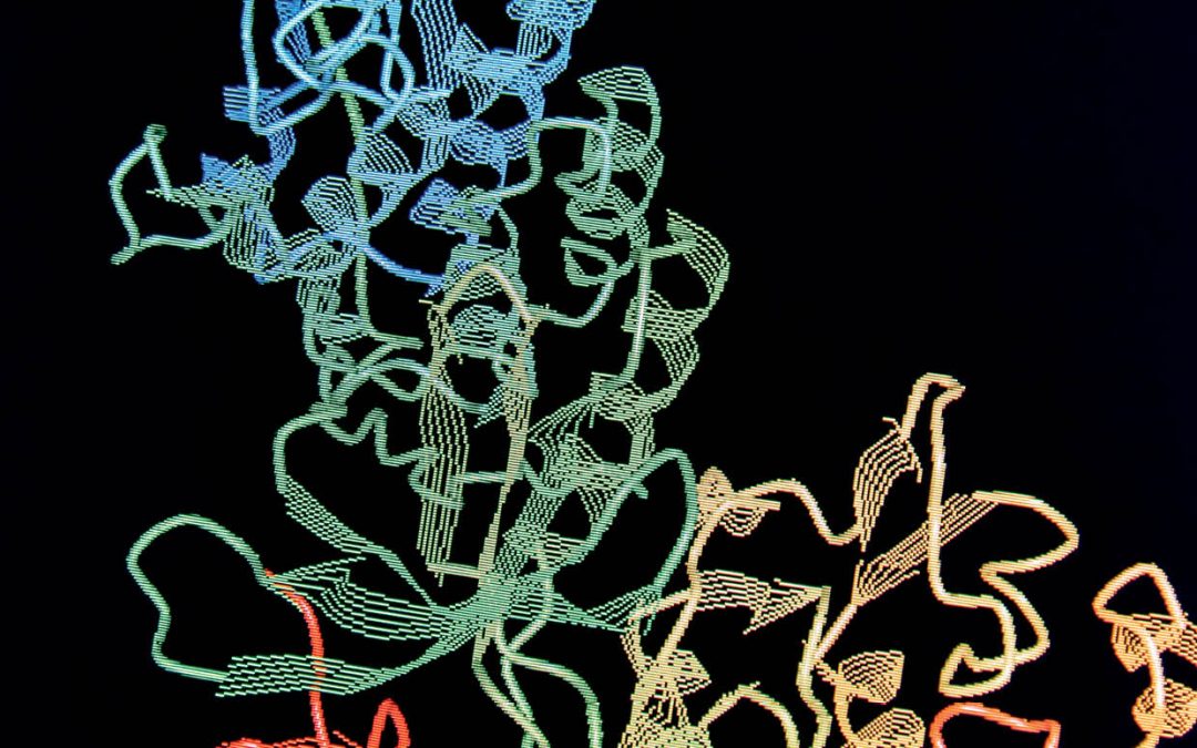 Dr Anne Kleinnijenhuis – Developing Reliable Methods for Detecting Proteins