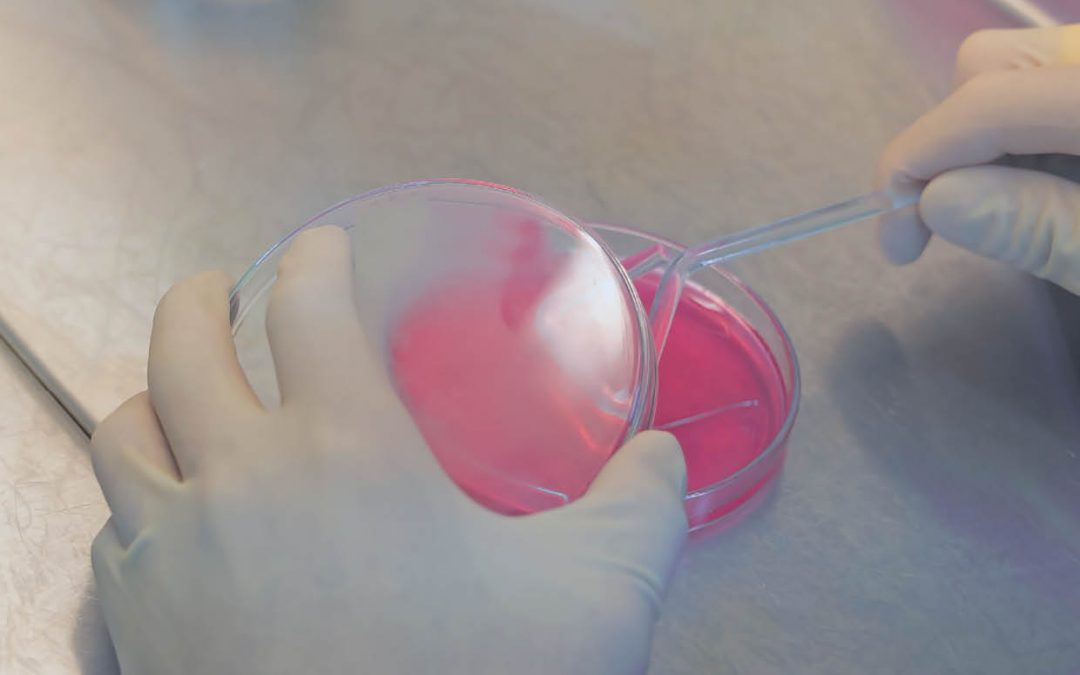 Antibiotic Research UK