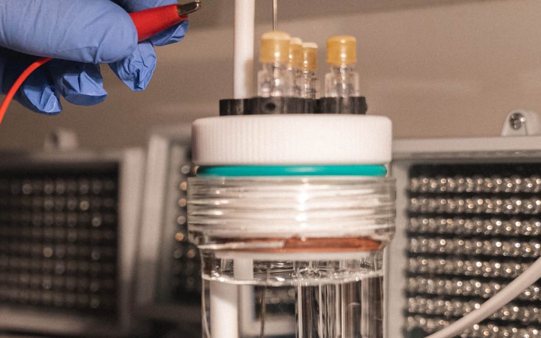 Dr Arpita Bose – Harnessing Microbes to Produce Sustainable Plastics and Biofuels
