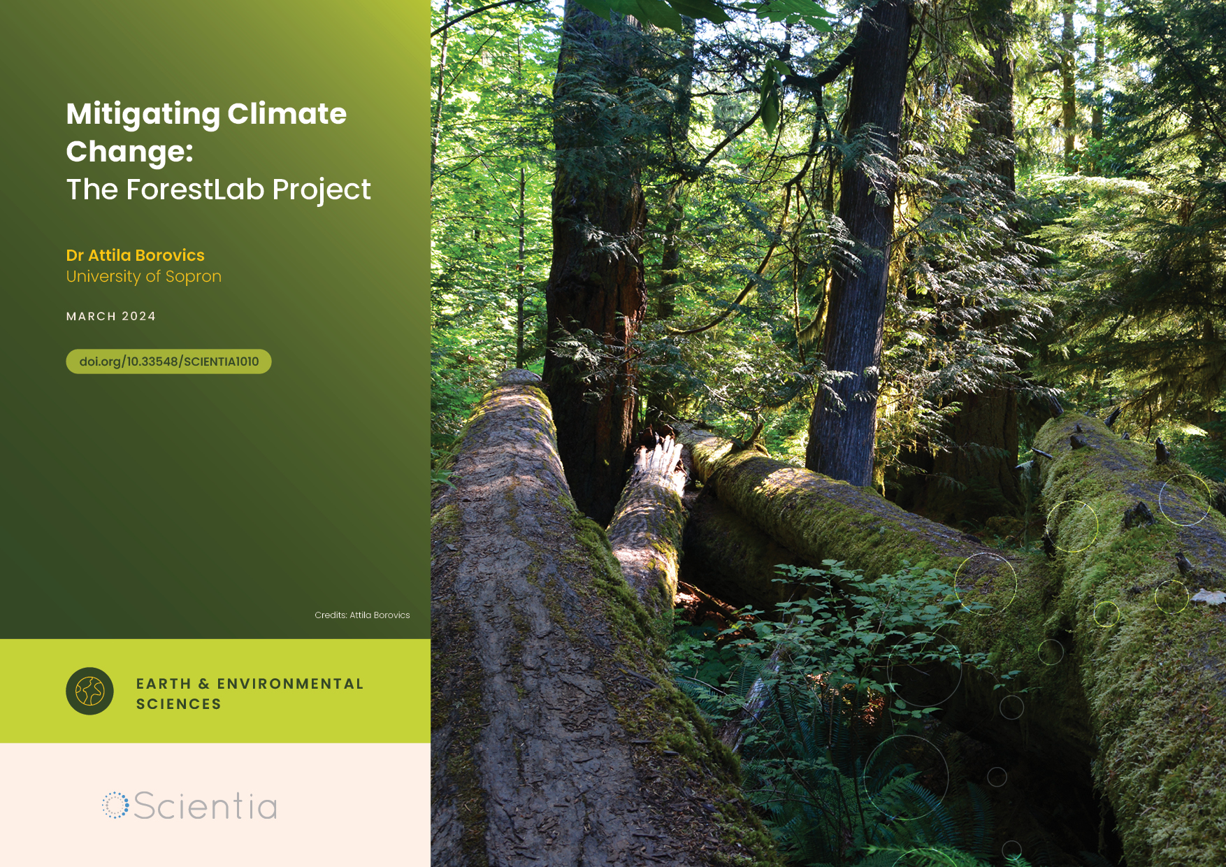 Dr Attila Borovics | Mitigating Climate Change: The ForestLab Project