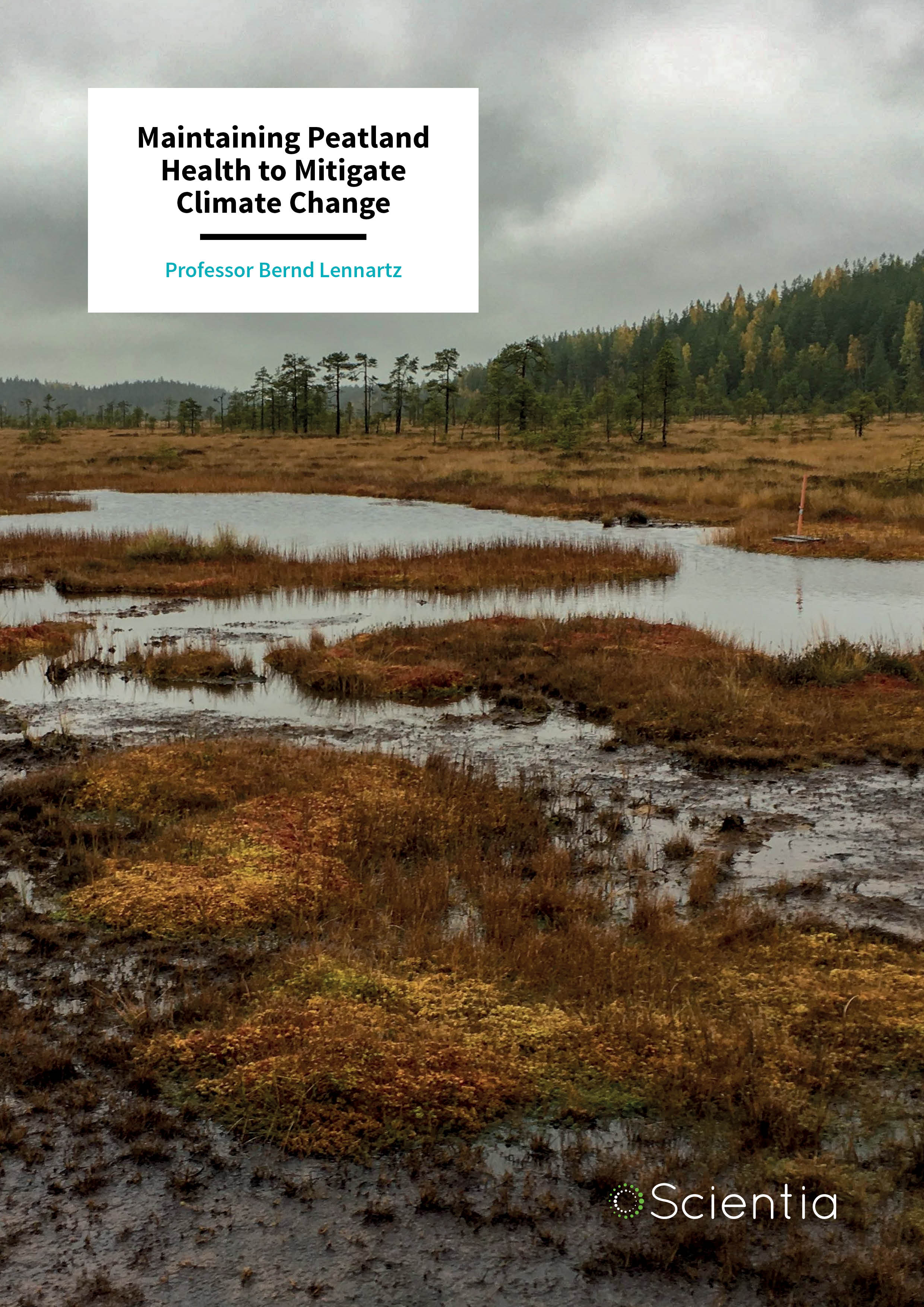 Dr Bernd Lennartz – Maintaining Peatland Health to Mitigate Climate Change