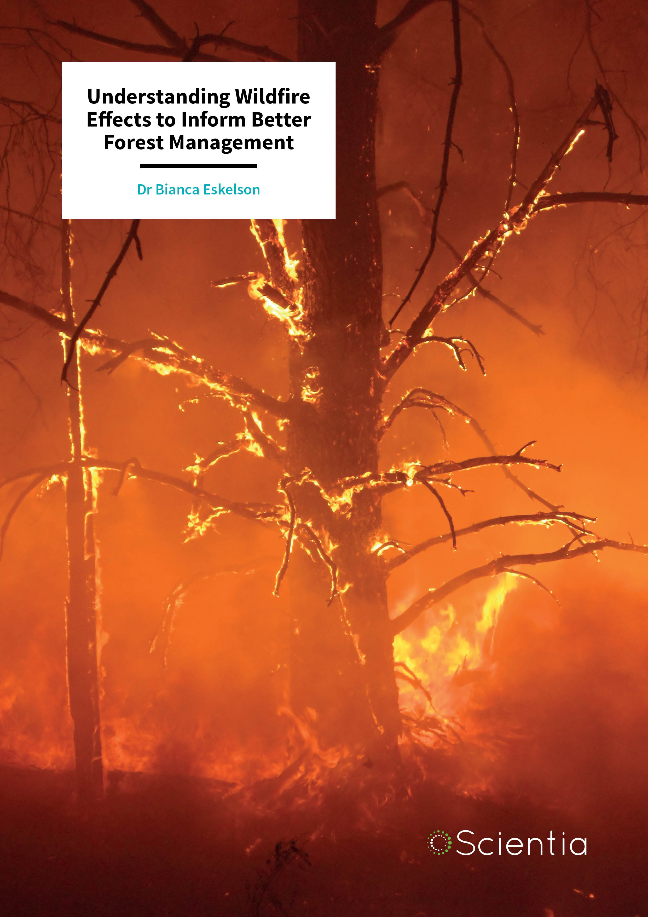 Dr Bianca Eskelson – Understanding Wildfire Effects to Inform Better Forest Management