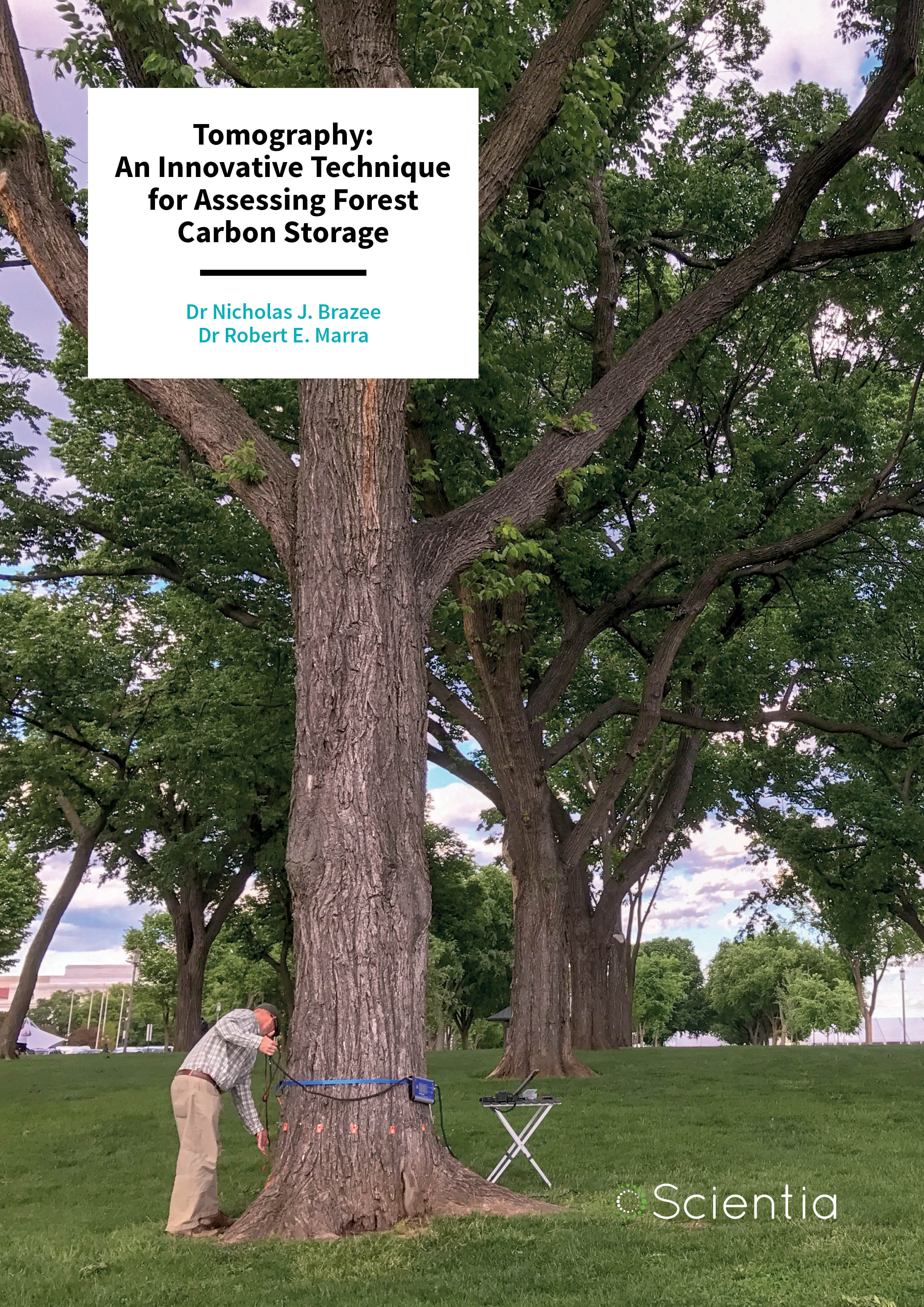 Tomography: An Innovative Technique for Assessing Forest Carbon Storage