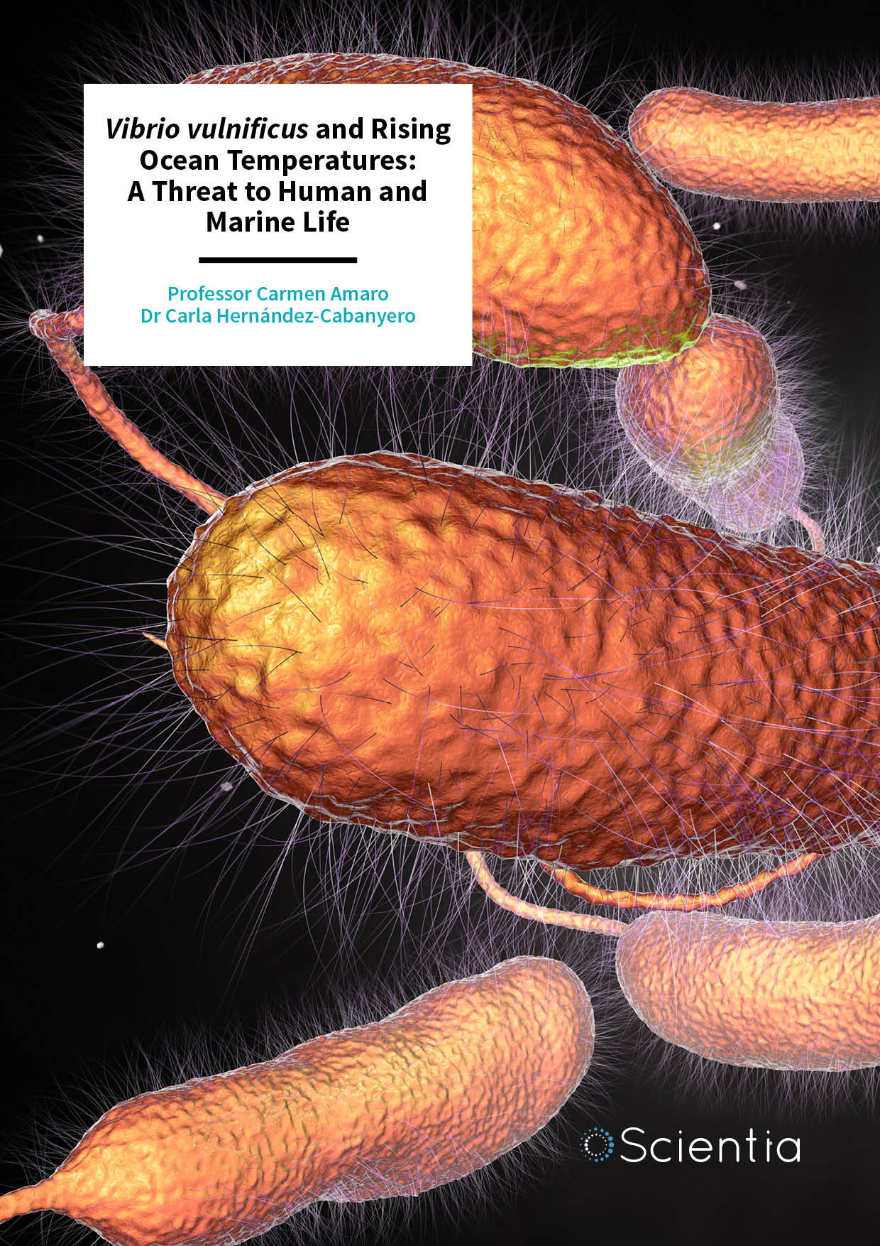 Professor Carmen Amaro – Dr Carla Hernández-Cabanyero | Vibrio vulnificus and Rising Ocean Temperatures: A Threat to Human and Marine Life