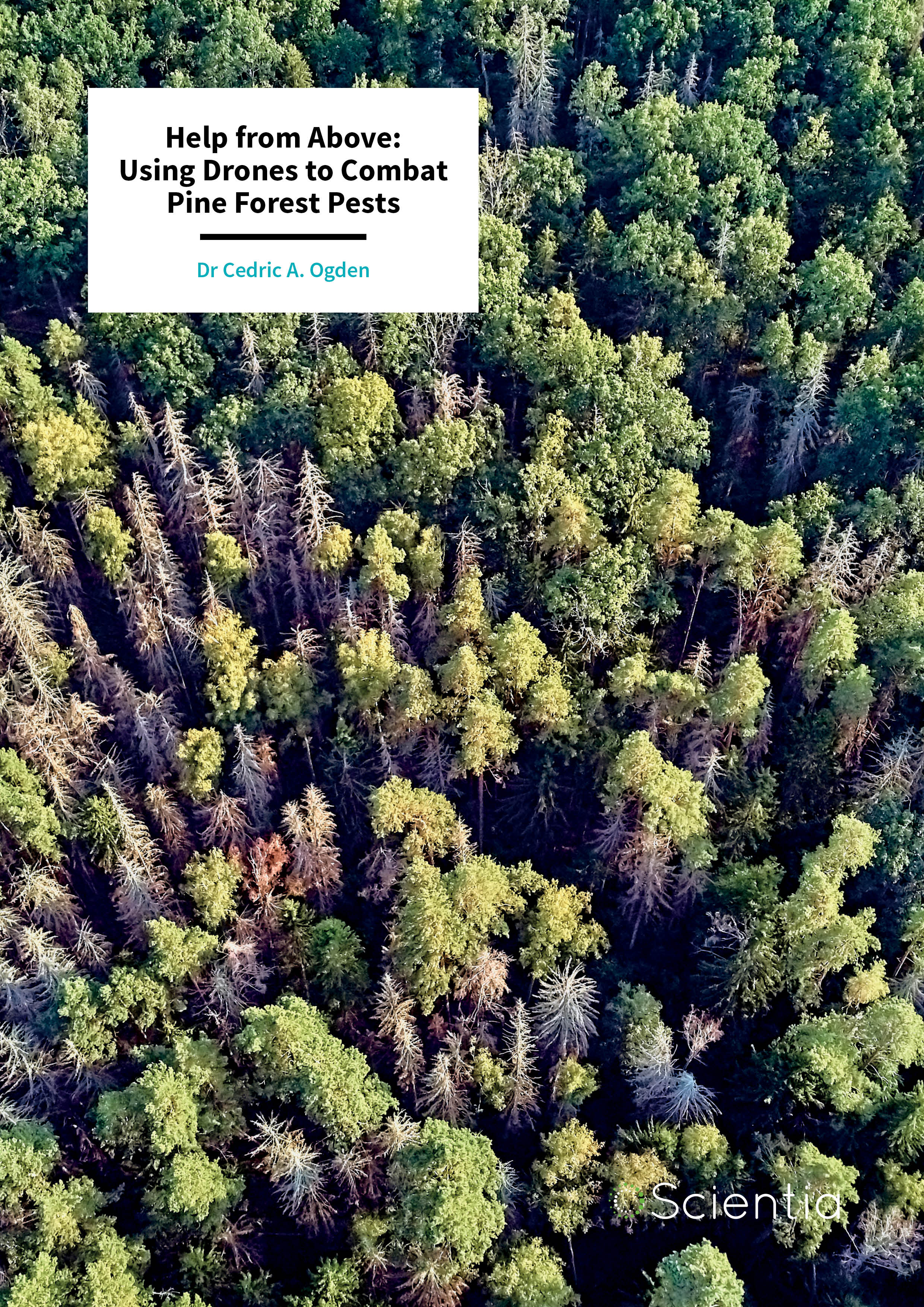 Dr Cedric Ogden – Help from Above: Using Drones to Combat Pine Forest Pests