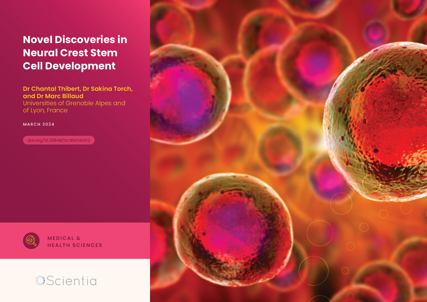 Dr Chantal Thibert – Dr Sakina Torch – Dr Marc Billaud | Novel Discoveries in Neural Crest Stem Cell Development