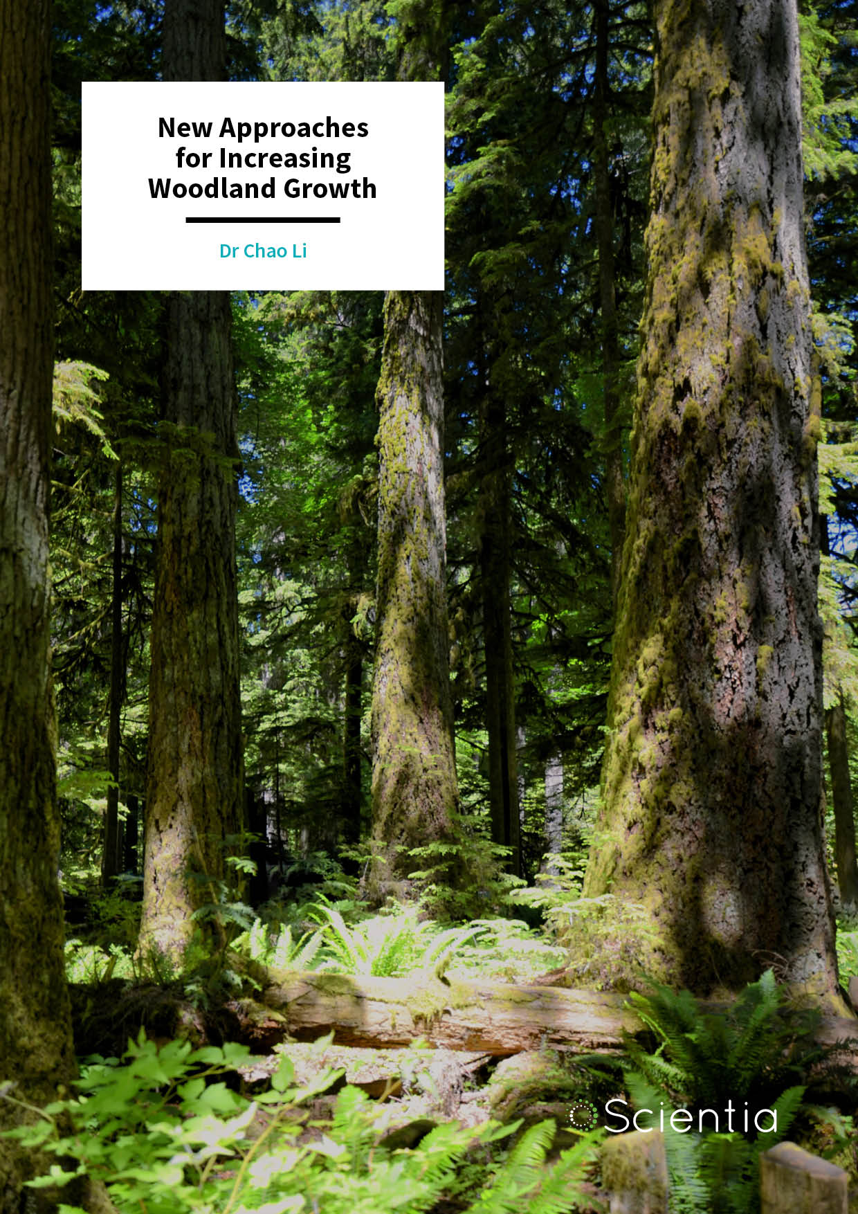 Dr Chao Li – New Approaches for Increasing Woodland Growth