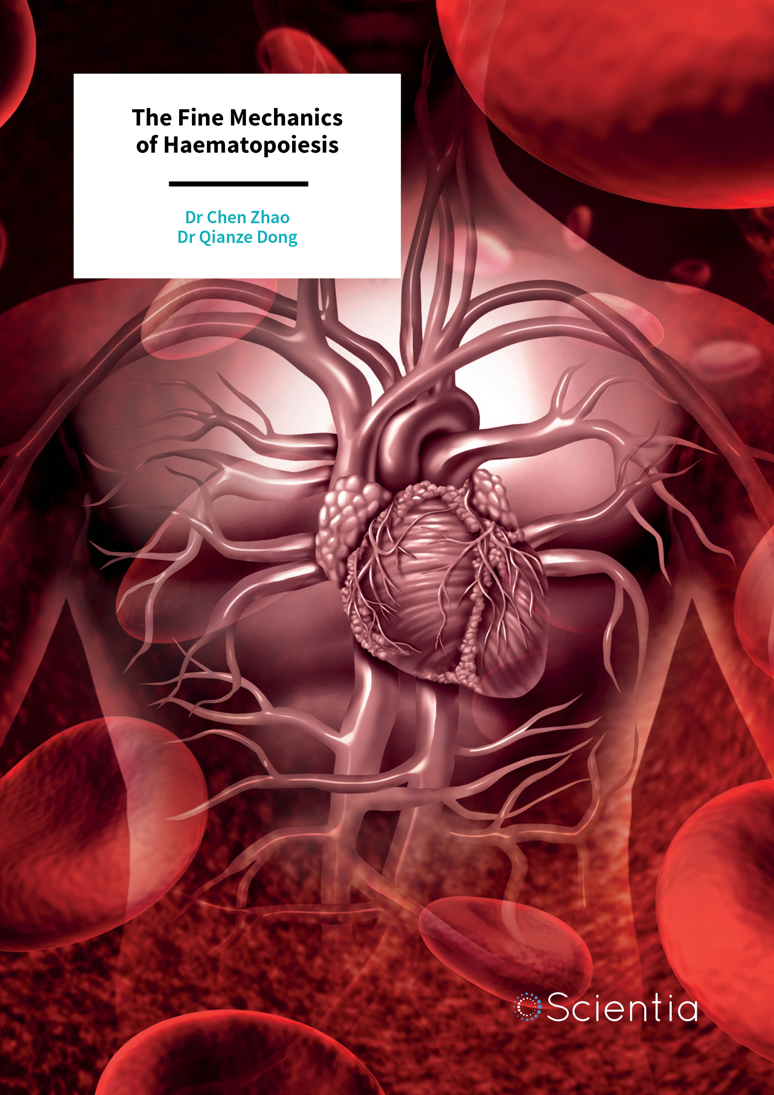 Dr Chen Zhao | Dr Qianze Dong – The Fine Mechanics of Haematopoiesis