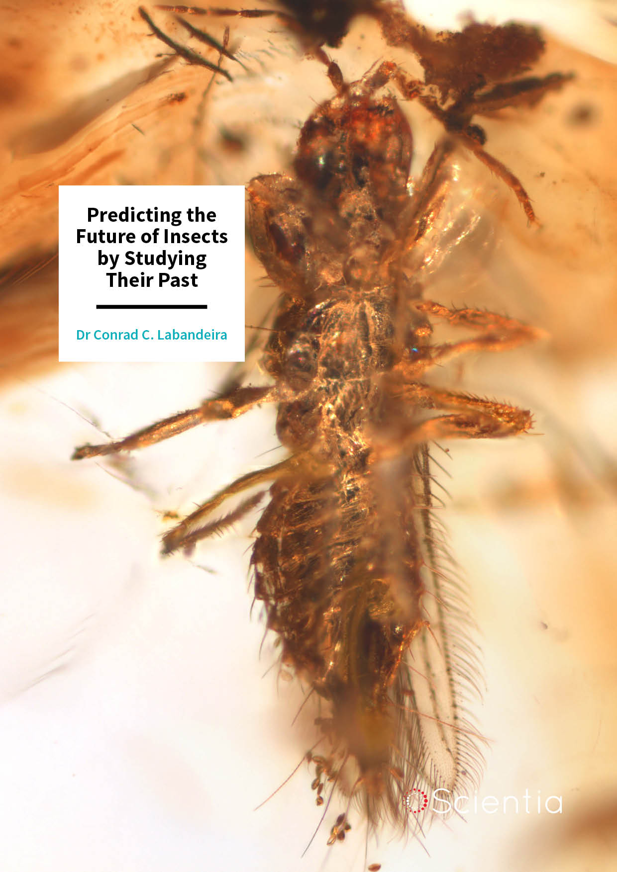 Dr Conrad Labandeira – Predicting the Future of Insects by Studying Their Past