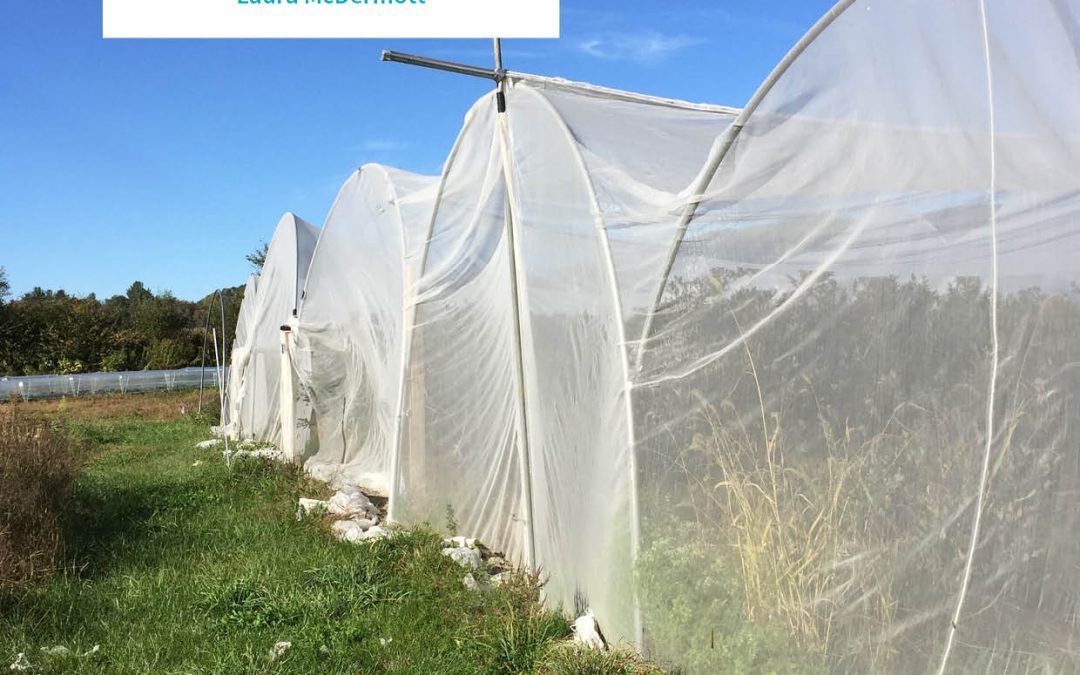 Dale-Ila Riggs | Protecting Berry Crops from Invasive Pests with Exclusion Netting